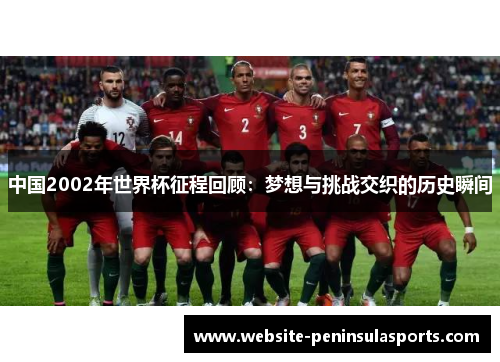中国2002年世界杯征程回顾：梦想与挑战交织的历史瞬间