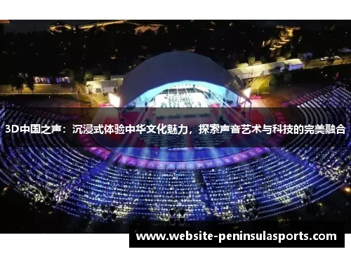 3D中国之声：沉浸式体验中华文化魅力，探索声音艺术与科技的完美融合