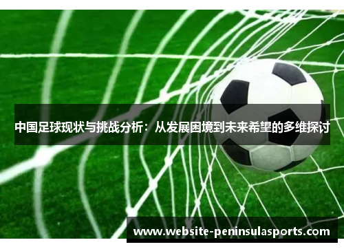中国足球现状与挑战分析：从发展困境到未来希望的多维探讨